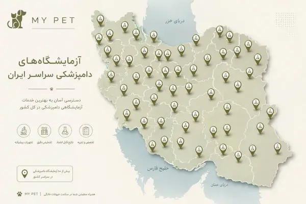 نقشه آزمایشگاه‌های دامپزشکی ایران؛ معرفی مراکز آزمایشگاهی سراسر کشور در شبکه جامع MY PET، زیرساخت اشتغال دامپزشکان و خدمات حیوانات ایران.